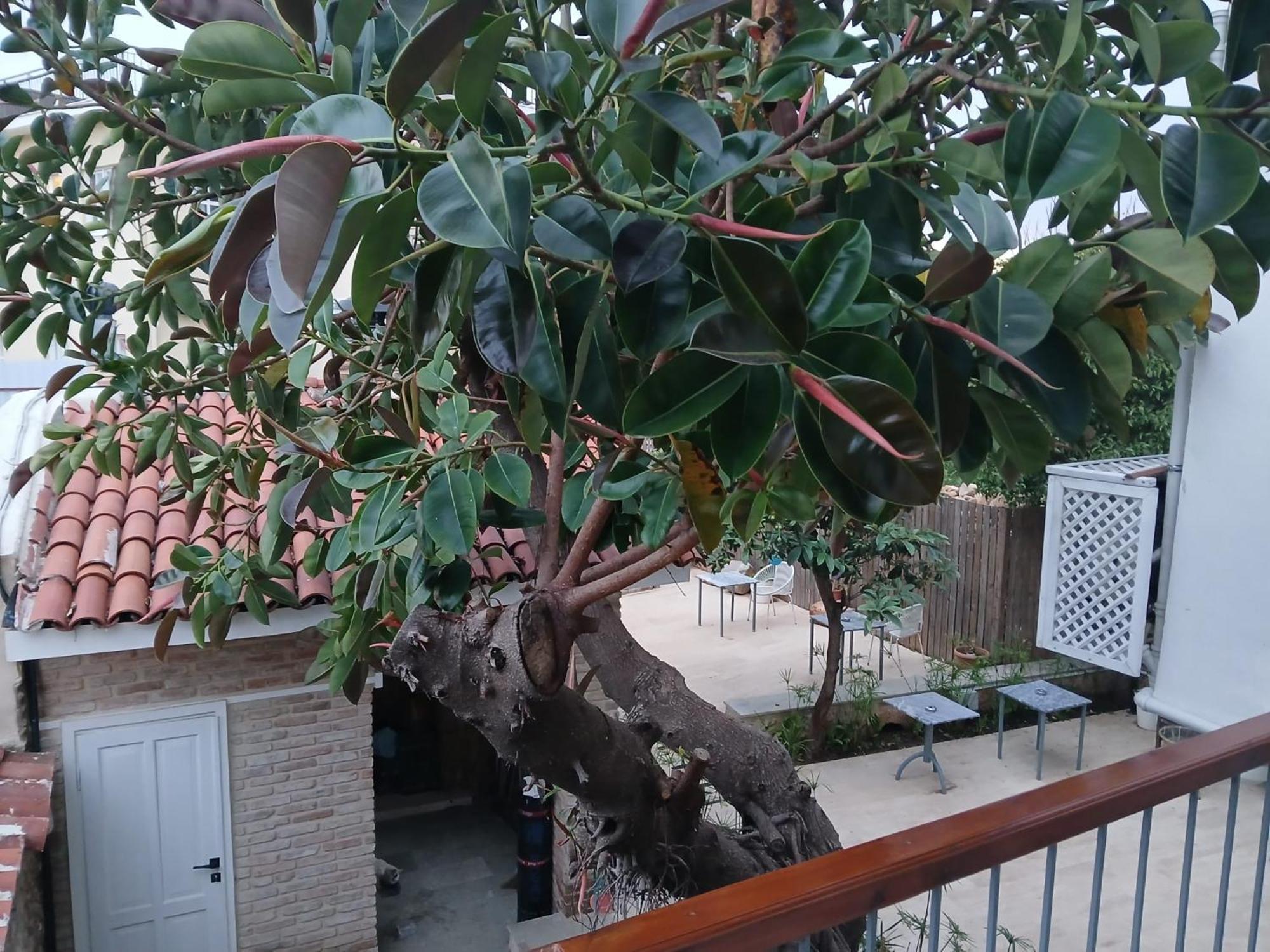 Hotel House of Good Things Zeytin Çıkmazı à Antalya Extérieur photo